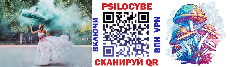 Псилоцибиновые грибы Psilocybe  Хадыженск 